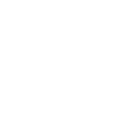 The Fracture Image