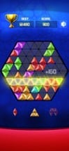 Hexa : Block Triangle Puzzle Image