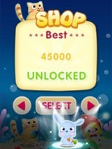 Bubble Shooter King - multiple pet shooter Image