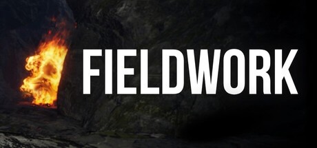 Games like Fieldwork