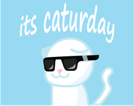 its caturday Image