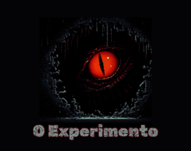 O Experimento Image