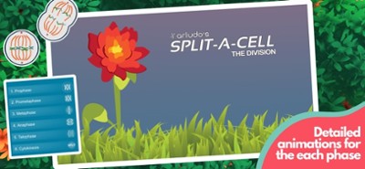 Split-A-Cell Image