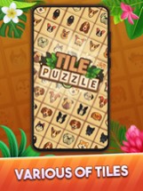 Tile Puzzle: Pair Match Image