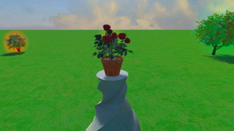 Through the Lens Image