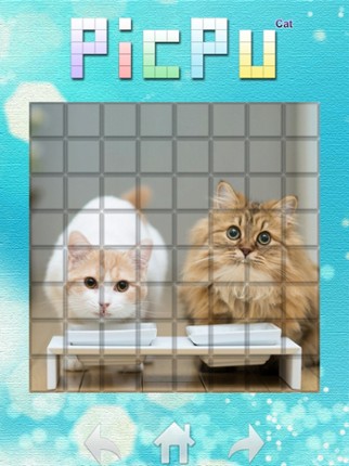 PicPu - Cat Picture Puzzle screenshot