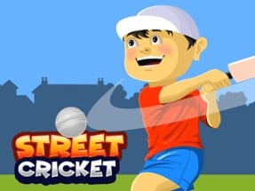 Street Cricket Image