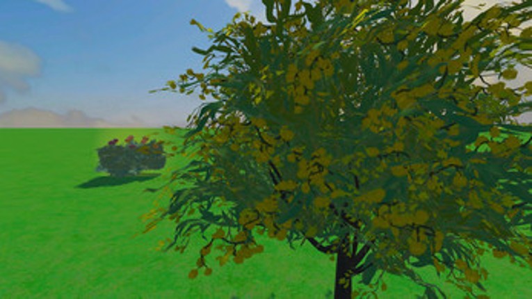 Through the Lens screenshot