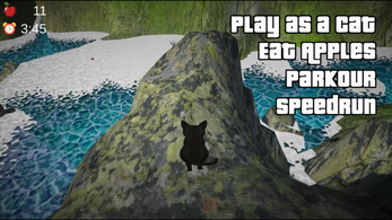 Last Cat Standing Image