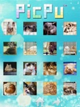 PicPu - Cat Picture Puzzle Image