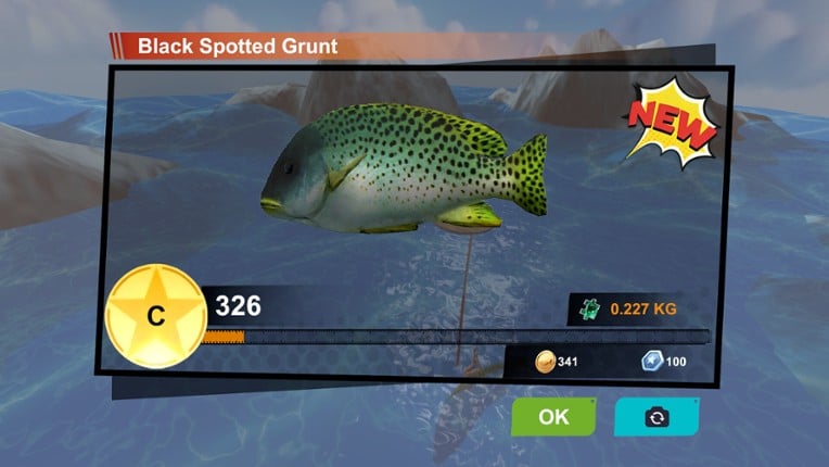 Bungee Fisher screenshot