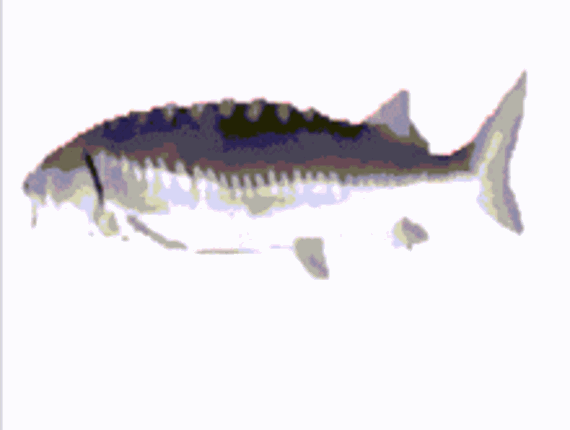 Das Deuten der Mehrdeutigkeit screenshot