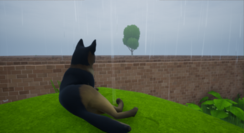 Dog 's life screenshot