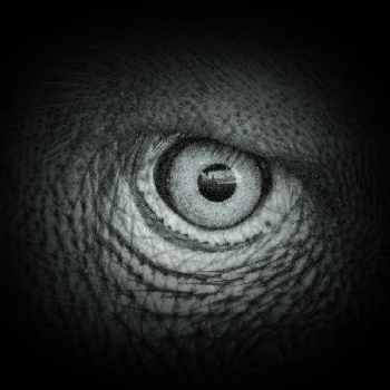 Games like The Telltale Heart