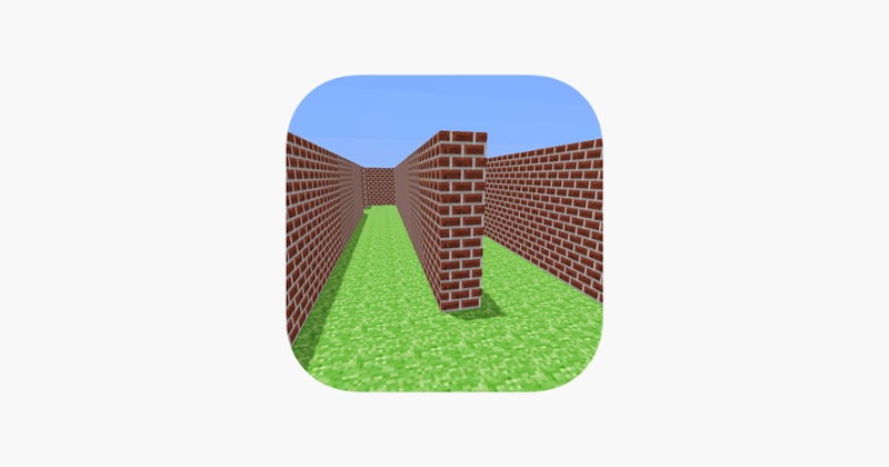 Mine Maze 3D Image