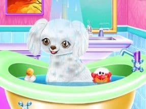 My New Poodle Friend Image