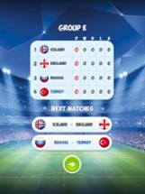 EURO SOCCER SHOOTOUT 3D Image