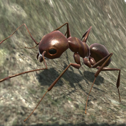 Ant Simulation 3D Image