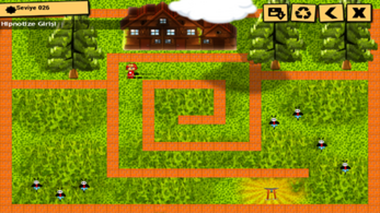 Labirent Kraliçesi screenshot