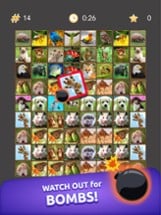 Onnect – Pair Matching Puzzle Image