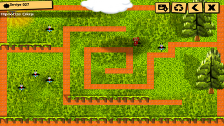 Labirent Kraliçesi Image