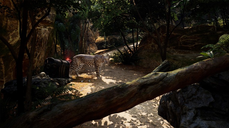 Pirates VR: Jolly Roger screenshot