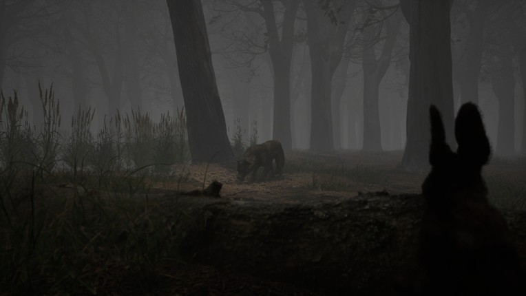 Shadow Warren screenshot