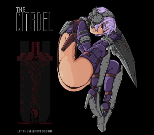 The Citadel Image