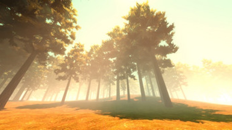 The Seeing Storm Image