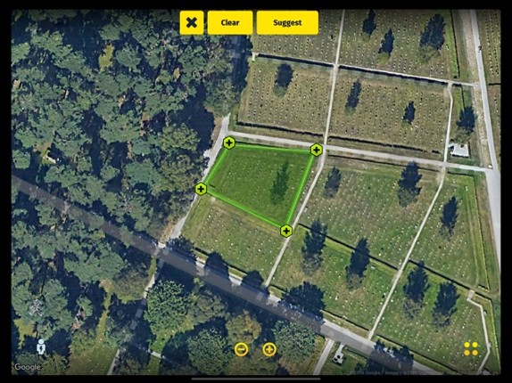 Turf Image