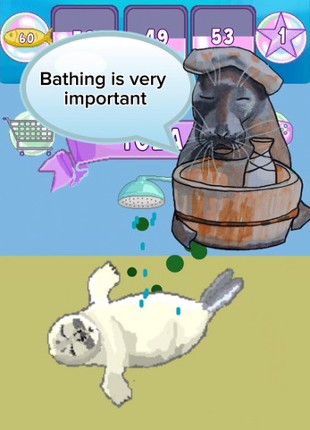 Virtual Seal Pet Image