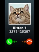 Fake Call Kitten Joke Image