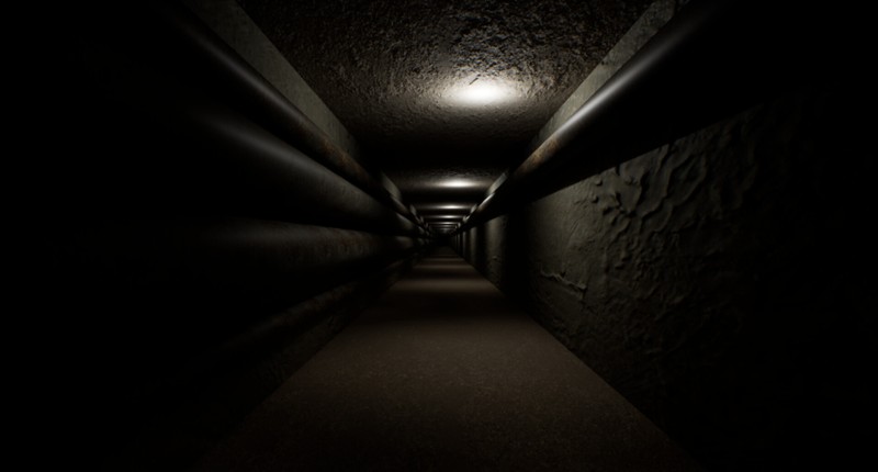 Lost In The Backrooms: Day 100 screenshot