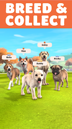 Pocket Paws: My lovely dogs Image