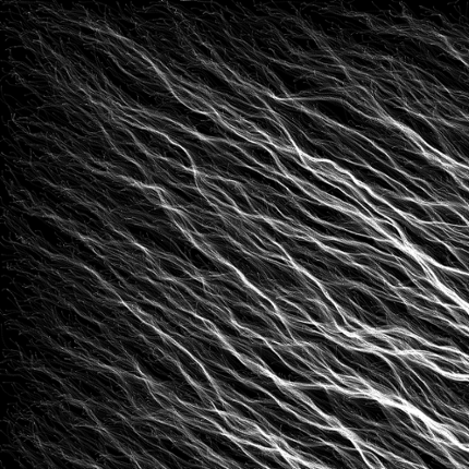 Generative Art Trails Image