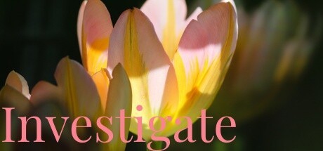 Games like Investigate
