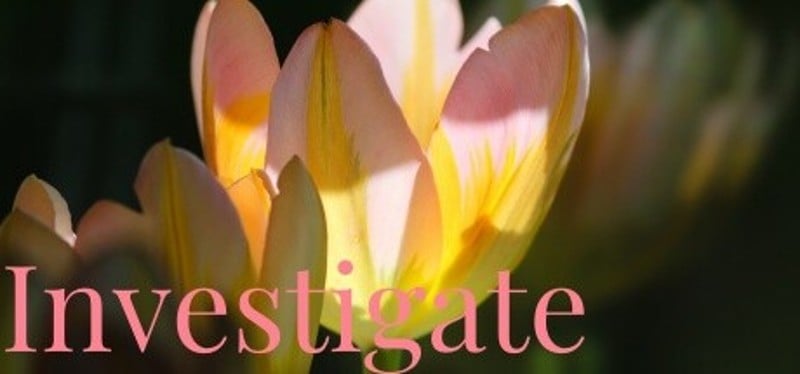 Investigate Image