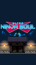 ULTRA NINJA SOUL Image