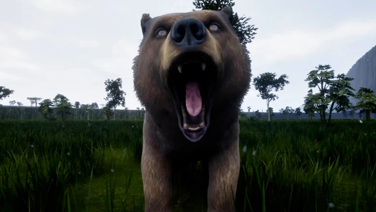 Before screenshot