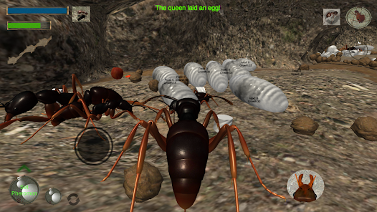 Ant Simulation 3D Image