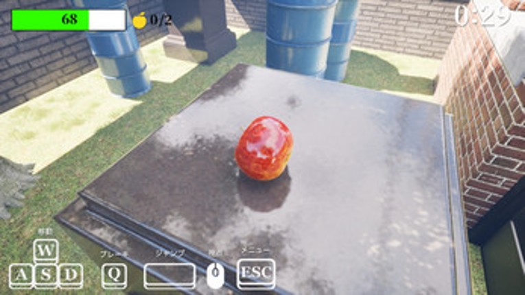 Gravity's Apple Image