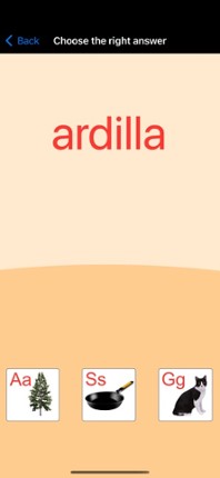 Spanish Alphabet Cards &amp; Quiz Image