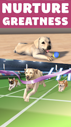 Pocket Paws: My lovely dogs Image