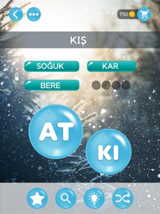 Kelime Şöleni: Kelime Oyunu screenshot