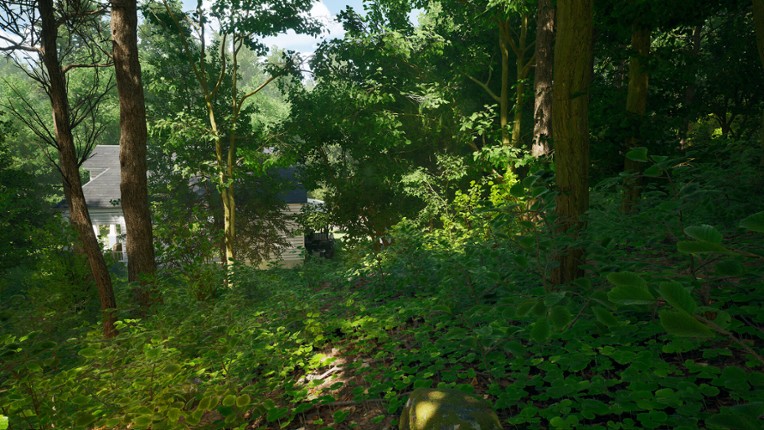 Nightwalk Simulator screenshot