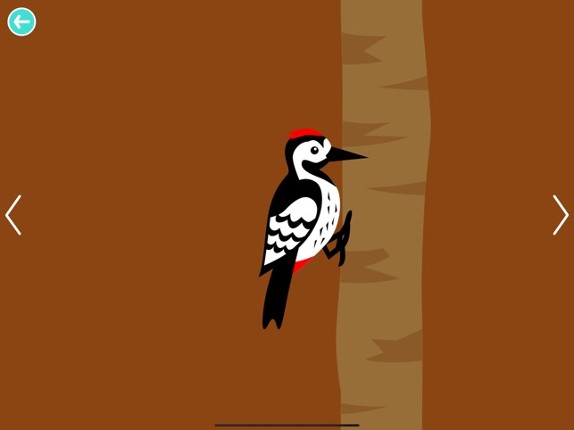 Black White Animals for Babies screenshot