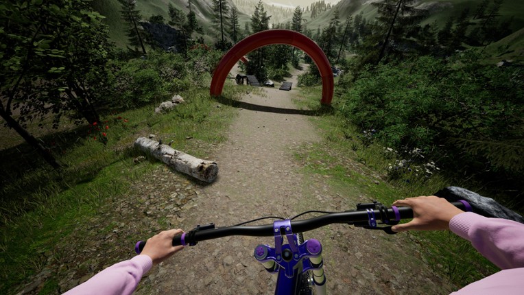 DownhillVR screenshot