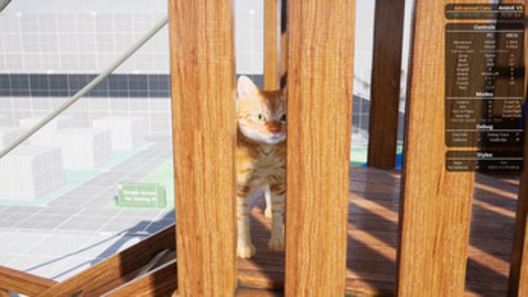 i want to be a cat Image