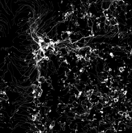 Generative Art Trails screenshot