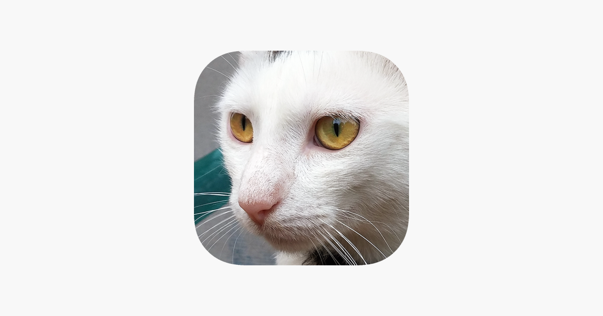 Games like Cat Sounds - Meow Soundboard